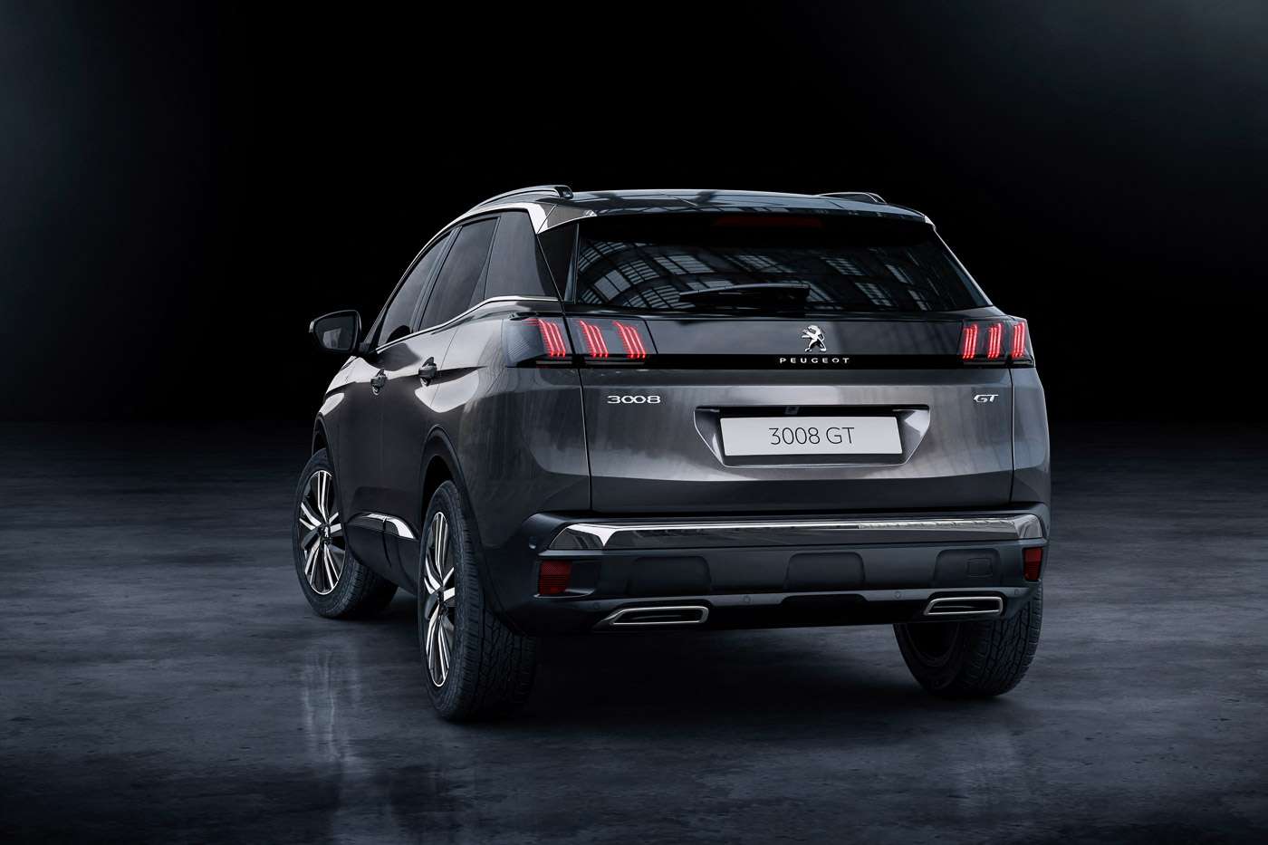 peugeot back
